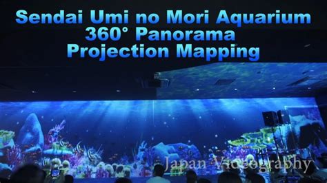 中野栄駅からうみの杜水族館：都市と自然の交差点